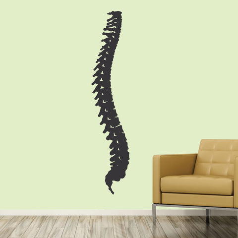 Spine, Wall Decal, 0402, Chiropractic office wall graphics, Bones
